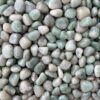 Green Agate 5 e1698259724480