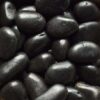 Polished Black Pebbles 3” – 5” 8 black polished pebbles large 2 e1703197930424