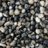 black striped agate pebble e1698257446184