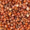 carnelian red agate pebble e1698259553134