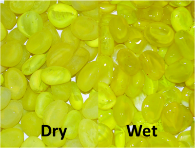 Glass Pebble Yellow