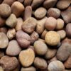 Baja Sunburst Pebbles, ½-1" 2 mexican beach pebbles baja sunburst small