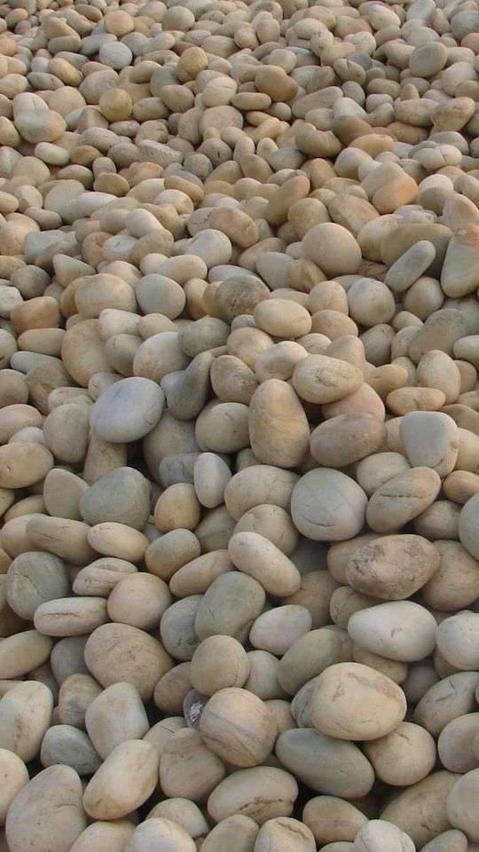 Mexican Beach Pebble, Buff, 1-2" 4 Mexican Beach Pebble, Buff, 1-2" - Image 5