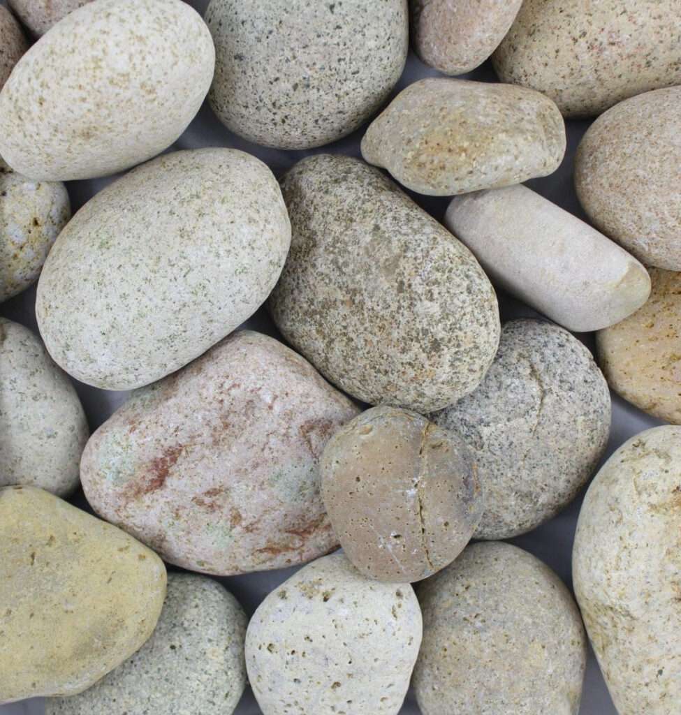 mexican beach pebbles bone 3 5 inch xl