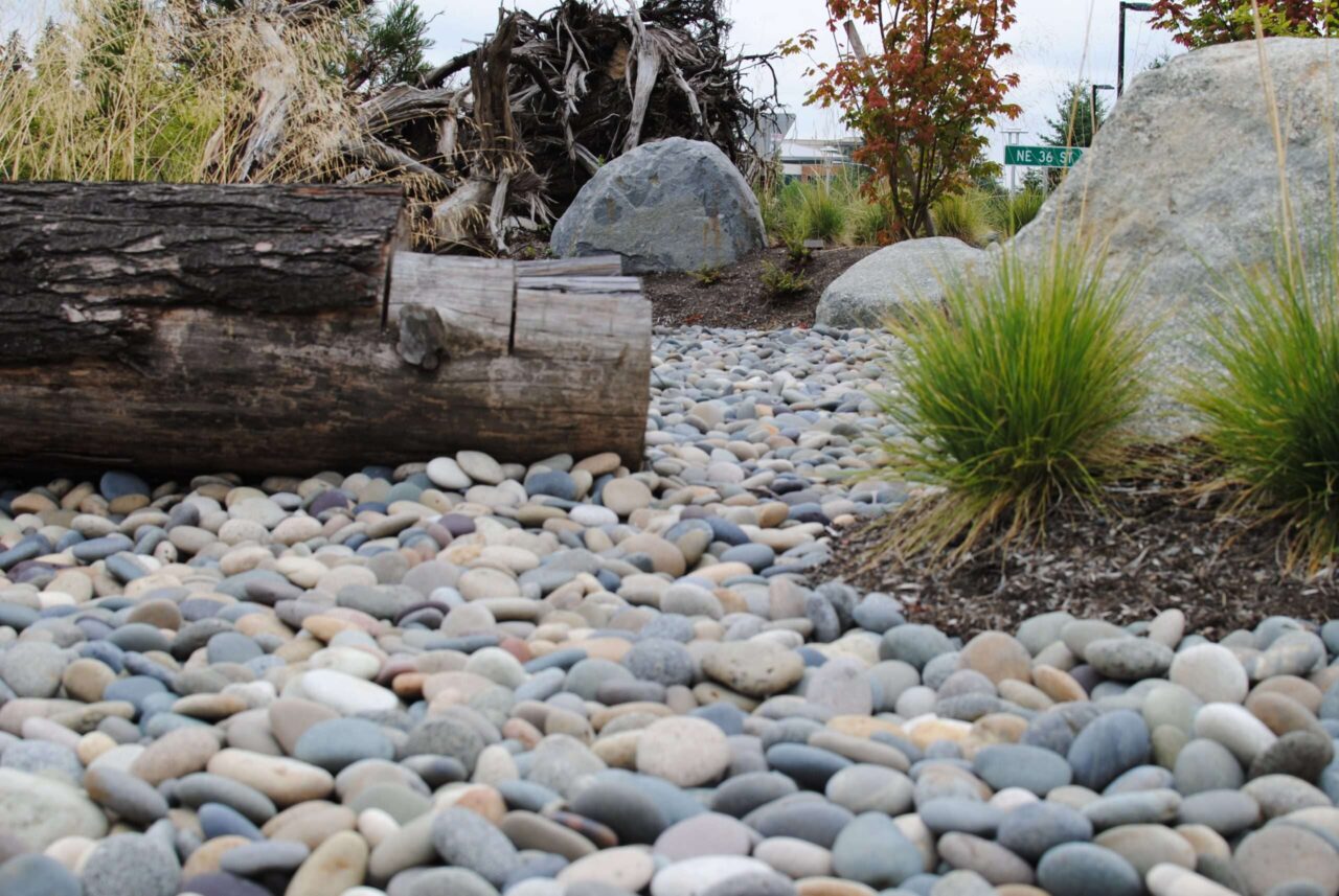Mexican Beach Pebble - Mixed 2-3" 5 Mexican Beach Pebble - Mixed 2-3" - Image 6