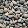 mexican beach pebbles mixed small 1 2