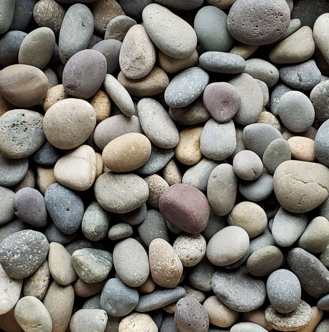 Mexican Beach Pebble - Mixed 2-3" 2 Mexican Beach Pebble - Mixed 2-3" - Image 2