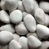 Ivory Beach Pebble, 2-3" 2 natural beach pebbles ivory medium 1 e1703271926408