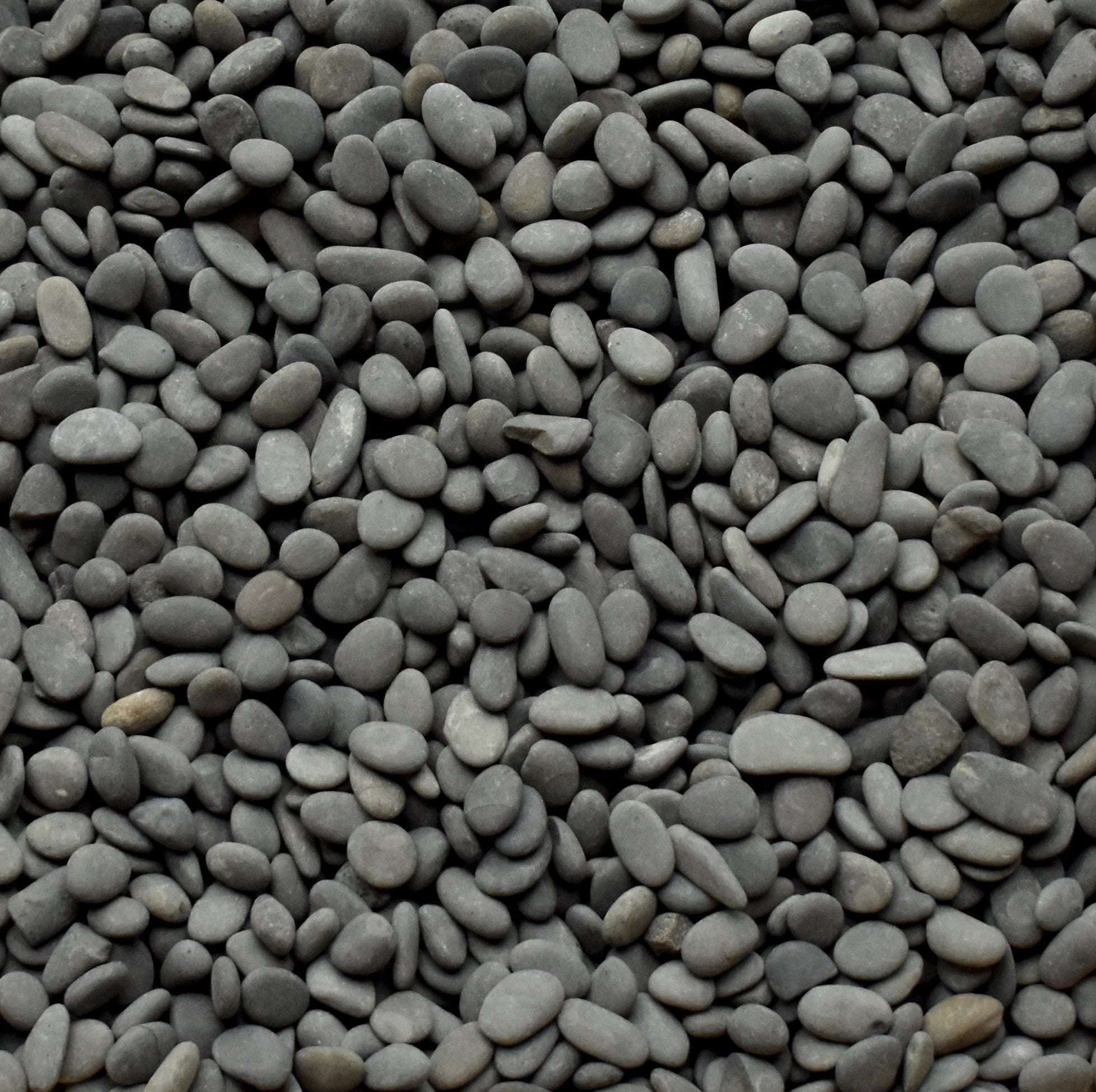 Black Mexican Beach Pebble, 1/2" 1 Black Mexican Beach Pebble, 1/2"