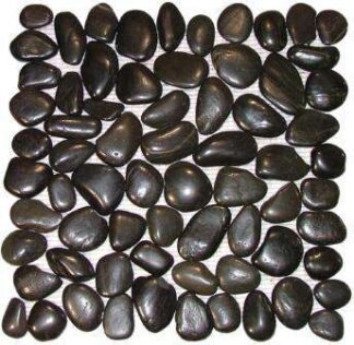 Polished Pebble Tile 1 Polished Black Pebble Tile