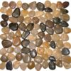 Polished Mixed Pebble Tile