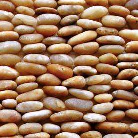 Standing Polished Yellow Pebble Tile, 4"x12"