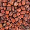 red jasper agate pebble e1702965573707