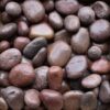 red polished pebbles large 10