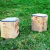 Basalt Seats