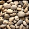 white polished pebbles large e1703197504622