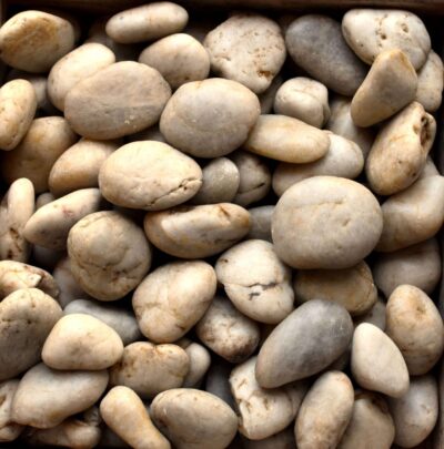 Polished Pebbles 13 Polished White Pebbles 1½" - 2½"