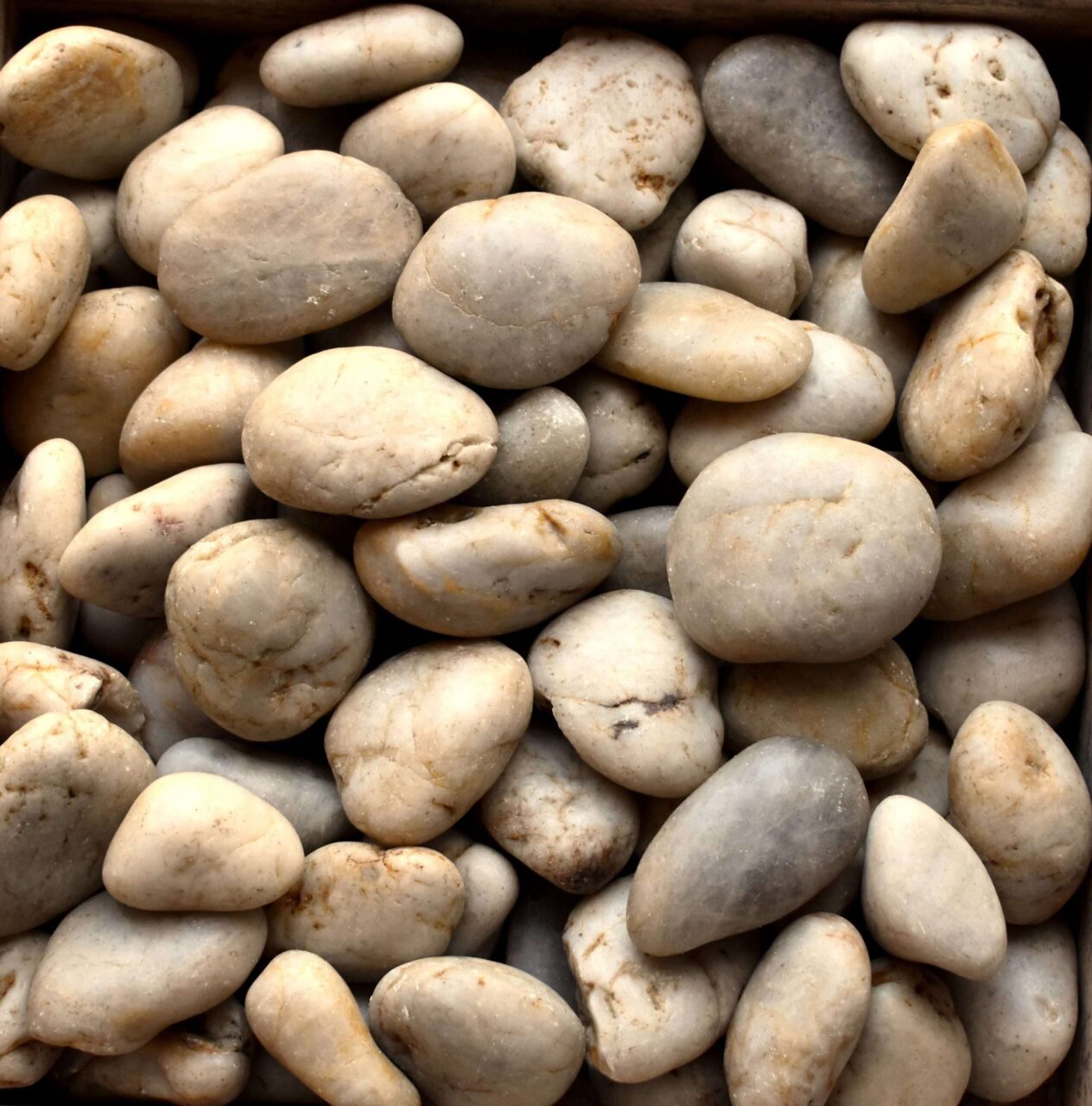 Polished White Pebbles 1½" - 2½" 1 Polished White Pebbles 1½" - 2½"