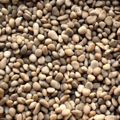 Polished Pebbles 11 Polished White Pebbles ½"-¾"