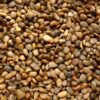 Polished Yellow Pebbles ½" - ¾" 2 yellow polished pebbles small e1703197340472