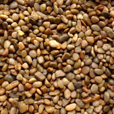 Polished Pebbles 14 Polished Yellow Pebbles ½" - ¾"