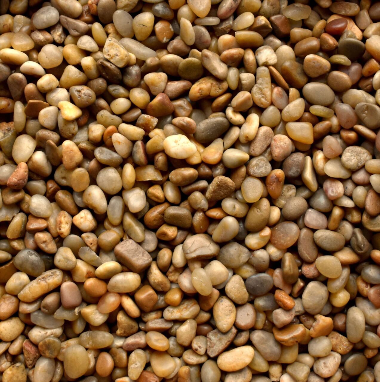 Polished Yellow Pebbles ½" - ¾" 1 Polished Yellow Pebbles ½" - ¾"