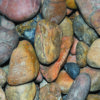 mexican beach sonora shiners 1 2