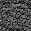 Black Mexican Beach Buttons, 3/4-1" 3 natural black river rock pebbles extra small 2