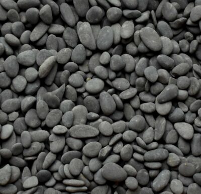 Black Mexican Beach Buttons, 3/4-1"