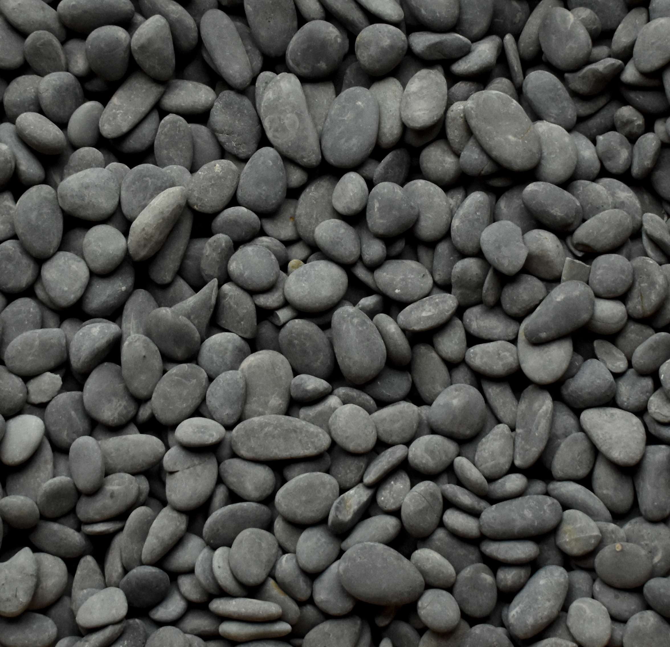 Black Mexican Beach Buttons, 3/4-1" 1 Black Mexican Beach Buttons, 3/4-1"