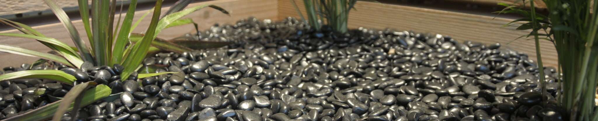 polished header